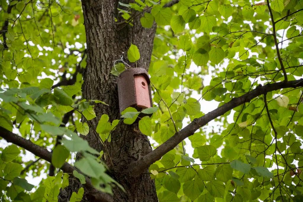 Udržitelnost a ohleduplnost k životnímu prostředí